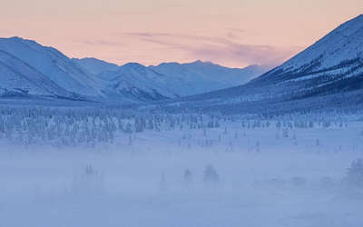 Mountains View