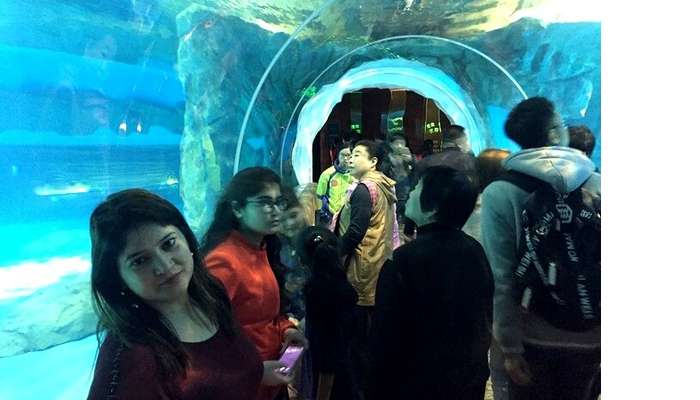 Witness the underwater creatures in Disneyland