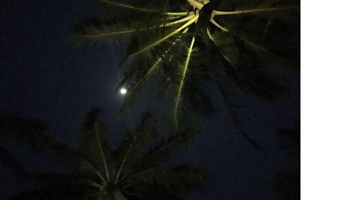 taking a walk at night in maldives