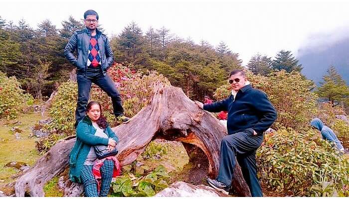 Yumthan valley of flowers