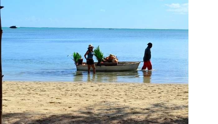 islands in mauritius