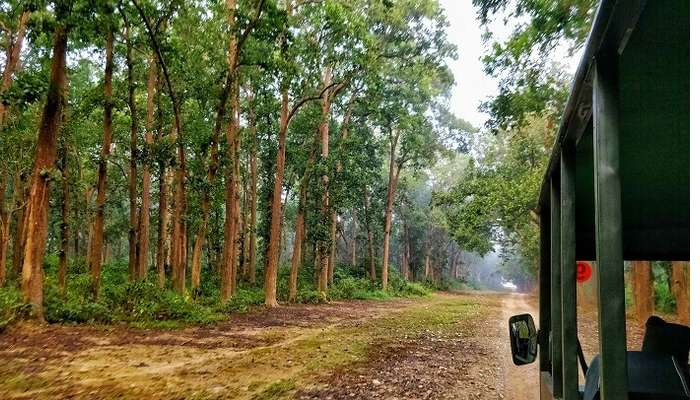 3 Days Trip To Jim Corbett In December 2020 See How To Do It Right Best period to visit here is from november to june, mainly. 3 days trip to jim corbett in december