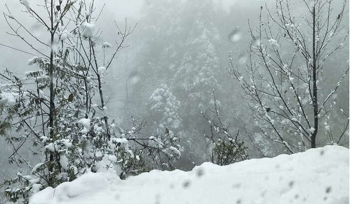 had witnessed the snowfall in Sikkim