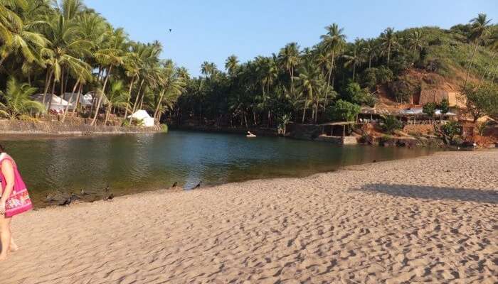 15 Best Beaches In South Goa For A Sunny Vacation In 2019