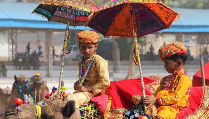 Kids riding camels during the Pushkar Camel Fair which is one of the most popular animal festivals in world