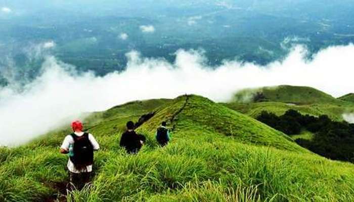 People trekking at Wayanad – one of the best places to visit in Kerala