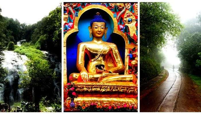 Experience the abbey waterfalls, monastery, wildlife sanctuaries in Coorg