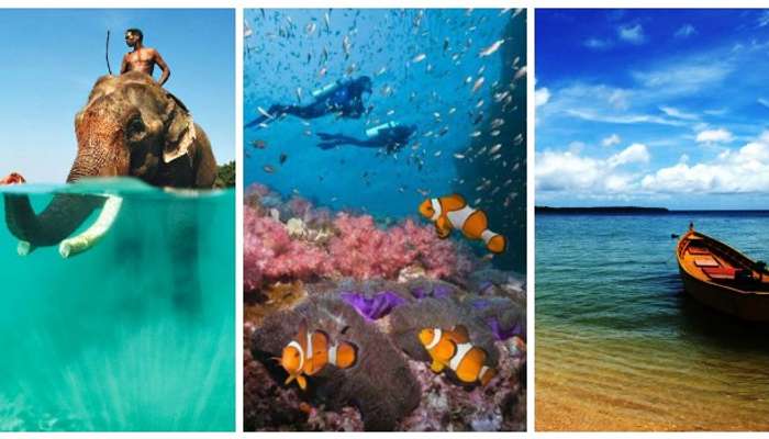 Enjoy scuba diving, white sandy beaches, elephant of Andaman and Nicobar