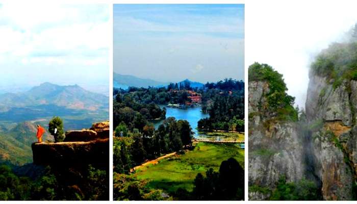 Visit Kodaikanal for pillar rocks, creeks, long stretches of forests