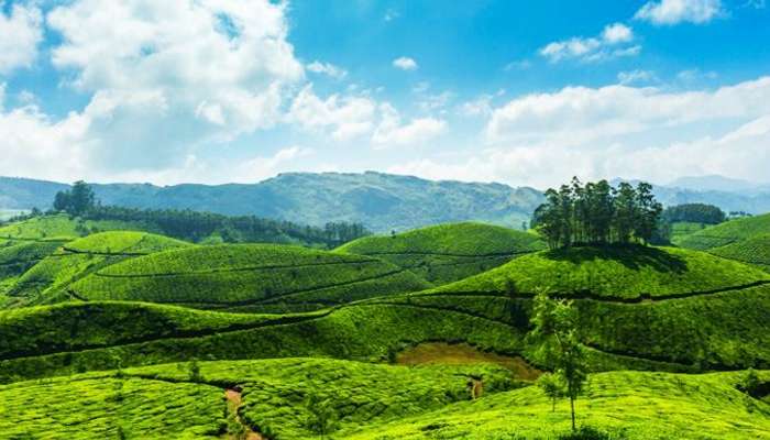 25 Hill Stations In South India That Will Replenish Your Spirits In 2021 Laden with many sanctuaries, tea gardens and national park, it provides the. 25 hill stations in south india that