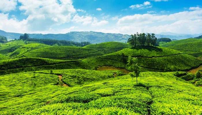 Wayanad Spice Plantations - an idyllic destination for a weekend getaway