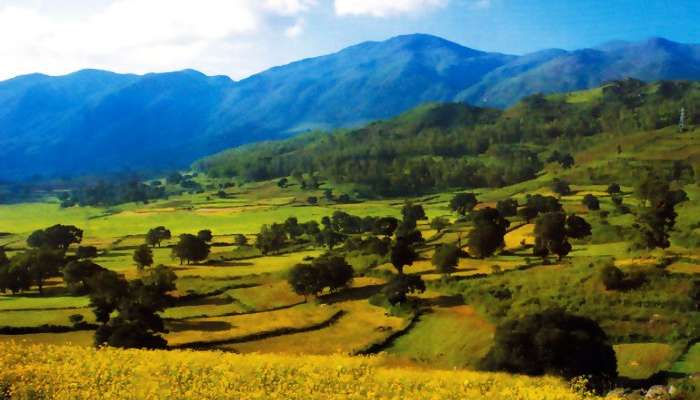 Araku Valley is covered with lots of greenery, exotic view of the hills, streams and rivulets