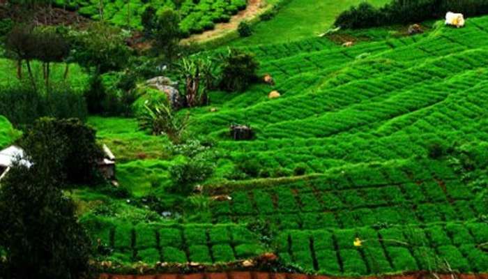 The beautiful hill station is located in the Nilgiris Hills