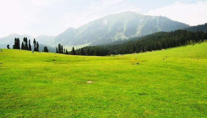 Kupwara