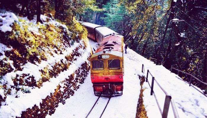 Colorful toy train making its way through the verdant valleys in Shimla