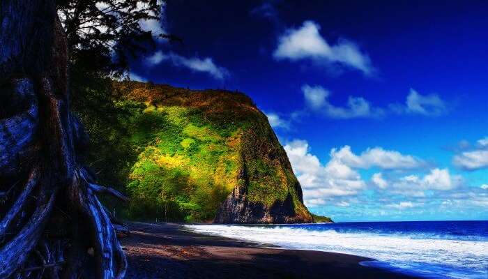 A serene beach in Hawaii