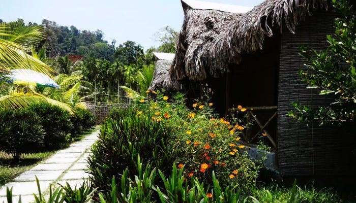 The charming cottages of Blue Bird Resort