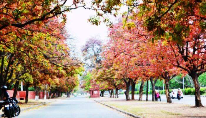 Chandigarh, the cleanest city in India