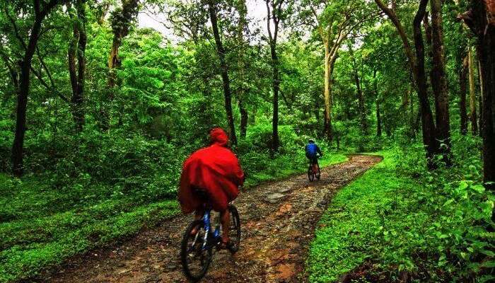 scenic cycle routes near me