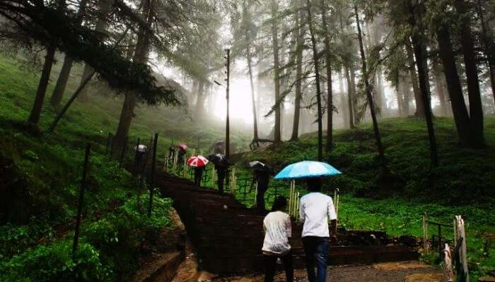 Jakhoo hills is one of the best places to visit in Shimla