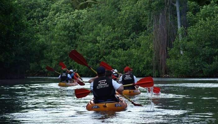 Best 17 Monsoon Getaways Near Pune And Mumbai In 21