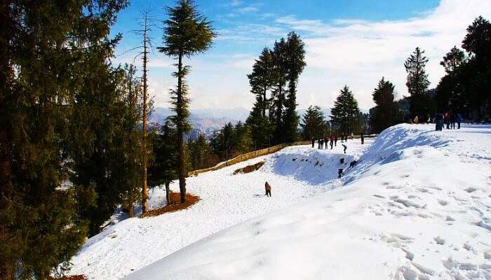 Kufri is a one of the many popular places to visit in Shimla in July