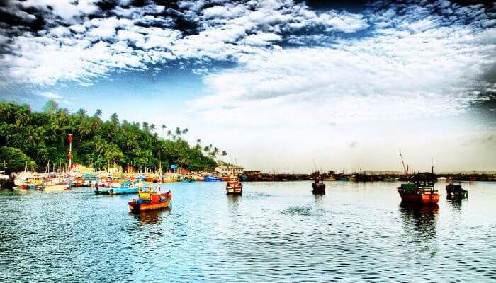 Mirissa Fisheries Harbor in Sri Lanka