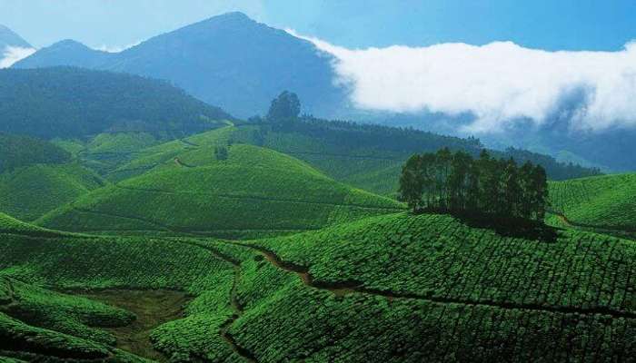 Places to Visit in Kerala