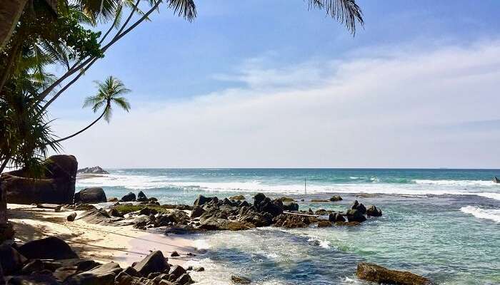 popularbeach in Sri Lanka