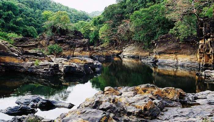 A lake in Cotigao Wildlife Sanctuary