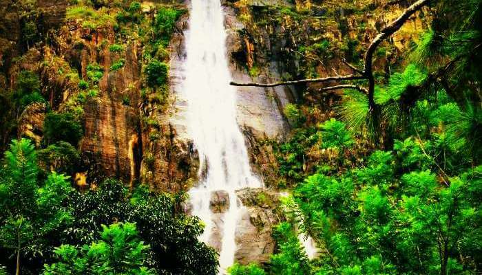 Bambarakanda Falls is the highest waterfall in Sri Lanka