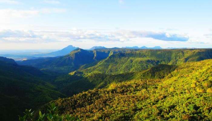 Enchanting mountains at Black River Gorges National Park covered in a blanket of greenery