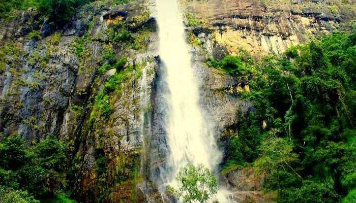 Diyaluma Falls is the 2nd highest waterfall in Sri Lanka