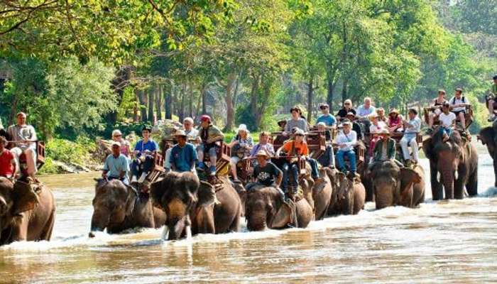 An elephant safari crossing through lake.