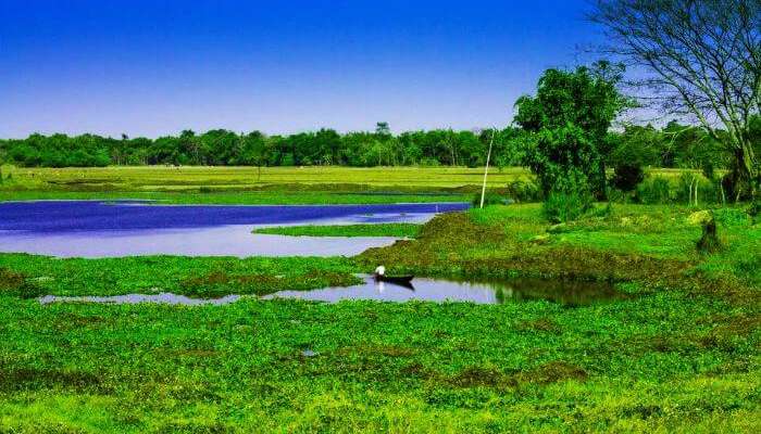 Majuli Island – Most unconventional of all the islands in India