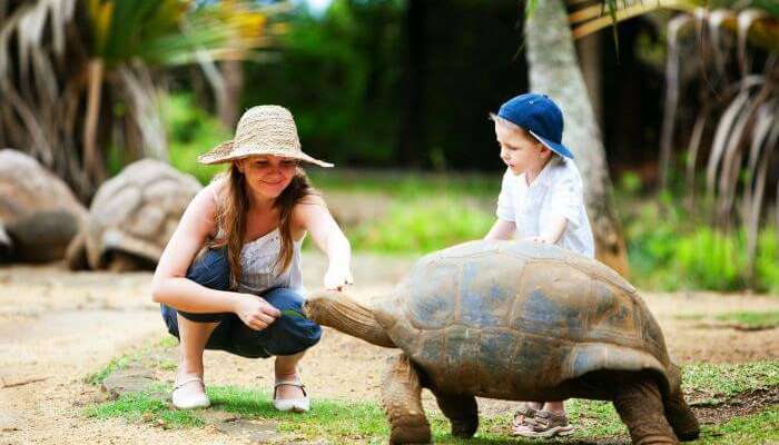 Mother son duo meeting an old tortoise in Parc Francois Leguat in Mauritius