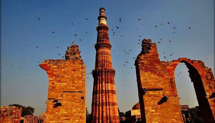 Wings taking on to the Qutub Minar