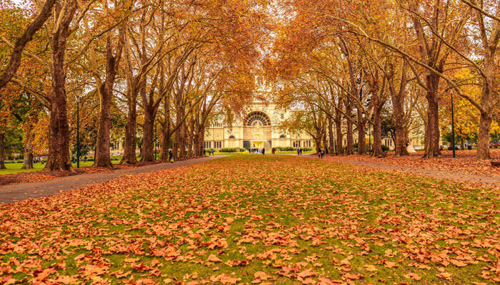 Autumn in the Carlton Gardens