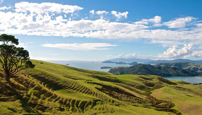 The expanse of Coromandel Peninsula is one of the must see places to see in New Zealand if you love the calm