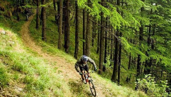 A cyclist biking in the hills of Manali