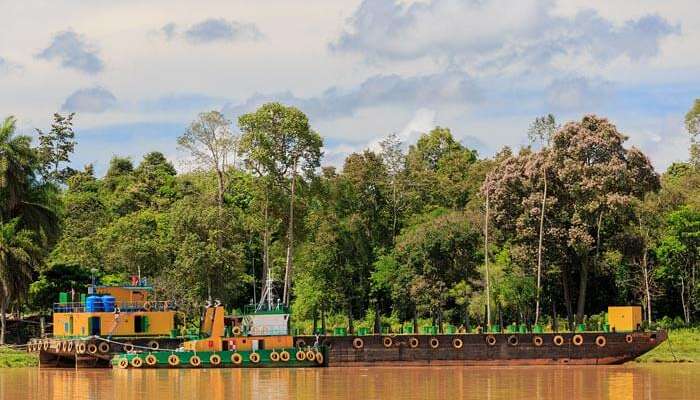 Kinabatangan is an only rainforest among the top tourist places in Malaysia 