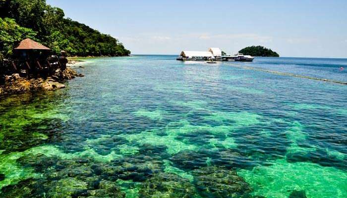 Colorful corals at Langkawi Island - a famous one among the must visit places in Malaysia