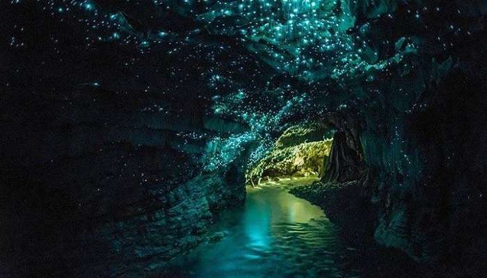 Waitomo Caves