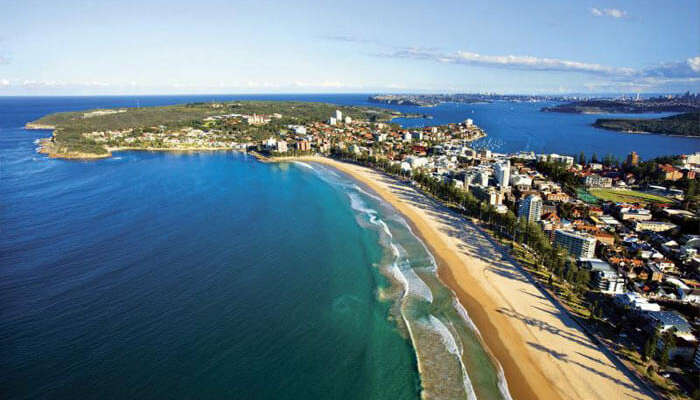 Bird eye view of the Manly Beach