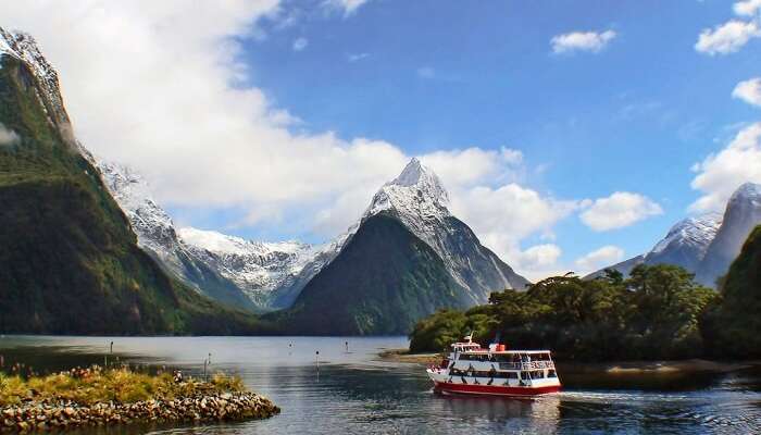 milford sound cruise