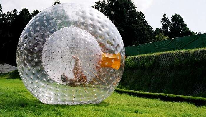 A person indulging in Zorbing in Manali