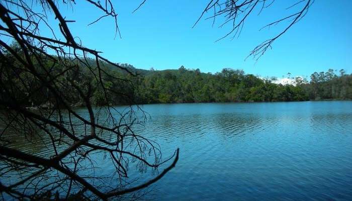 Berijam Lake in Tamil Nadu just at the time of dawn