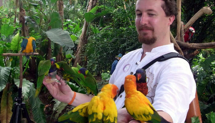 Butterfly Park And Insect Kingdom in Singapore