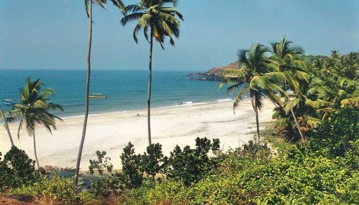 34 Famous Beaches In Goa To Put On Your List Of 2019