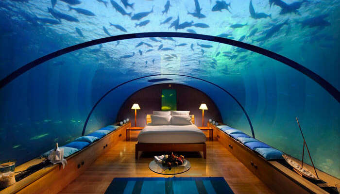 10 Underwater Hotels In The World In 2020 For A Stay With The Sharks